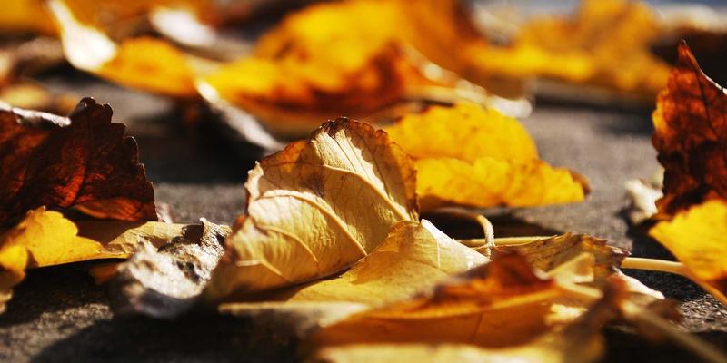 工业制造减排新引擎：环保机械设备如何重塑生产效能与生态平衡