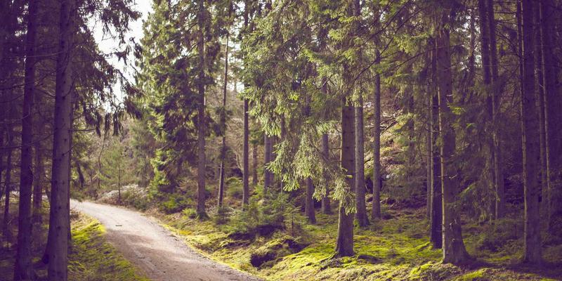 木工机械数控化改造中的伺服电机匹配与调试要点