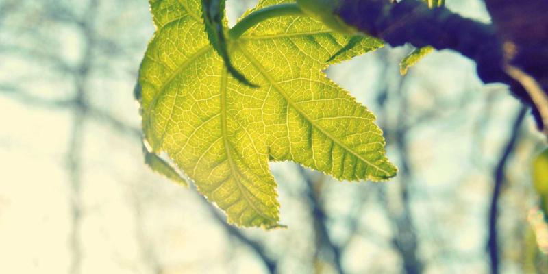 机械设备10：自动化设备与SQGQ机械如何引领现代机械加工新变革