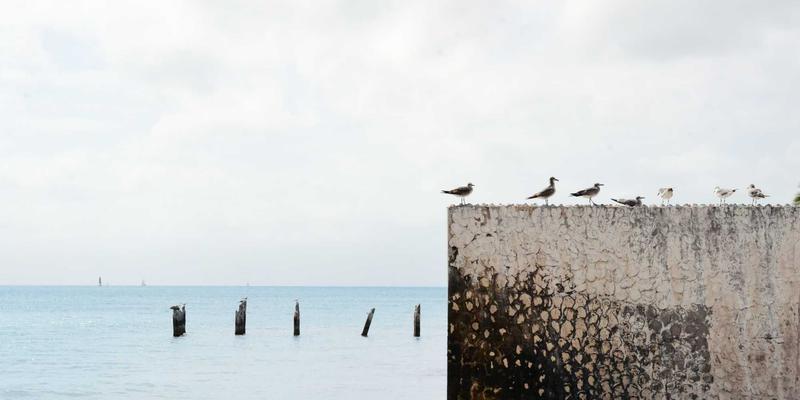 机械设备：从传统工业制造到自动化设备的演进与核心价值